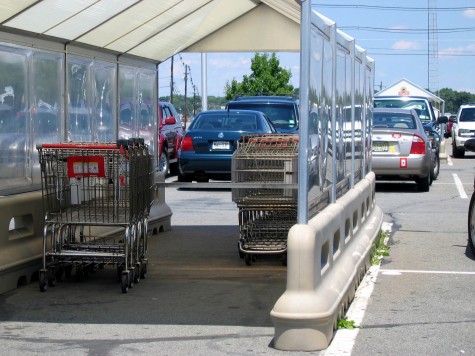 shopping cart | Free-Range Kids